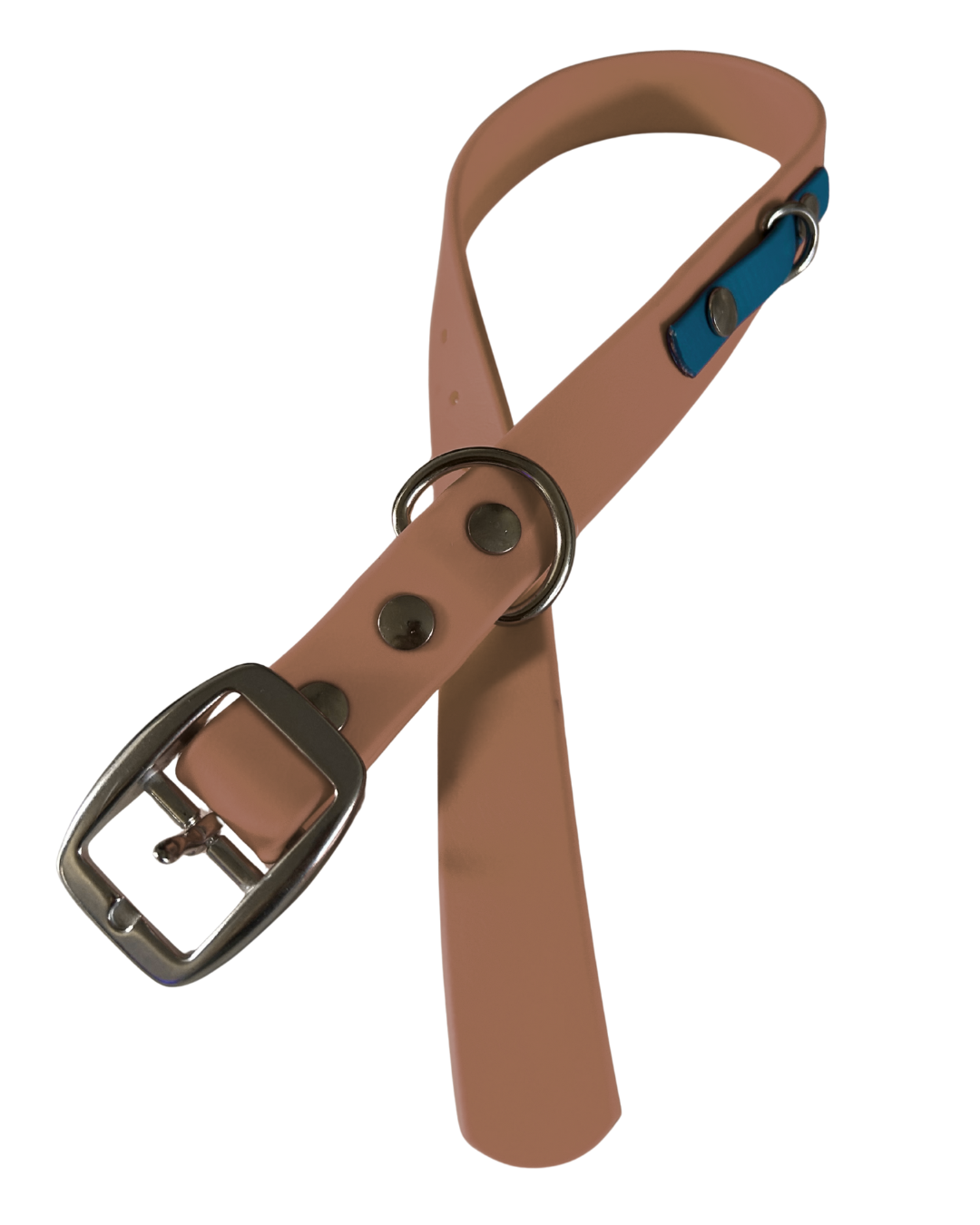 Biothane dog collar - Handmade in Quebec