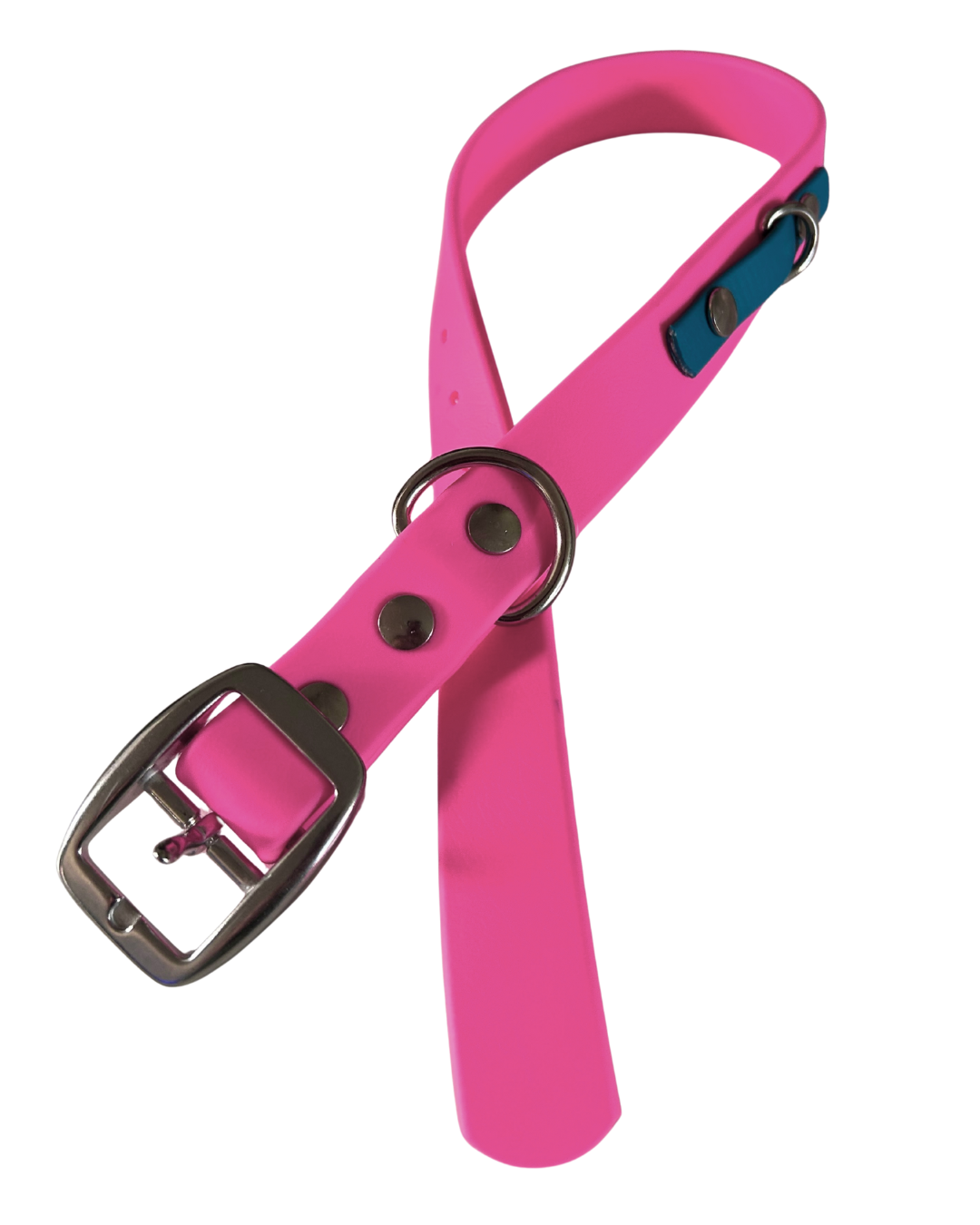 Biothane dog collar - Handmade in Quebec