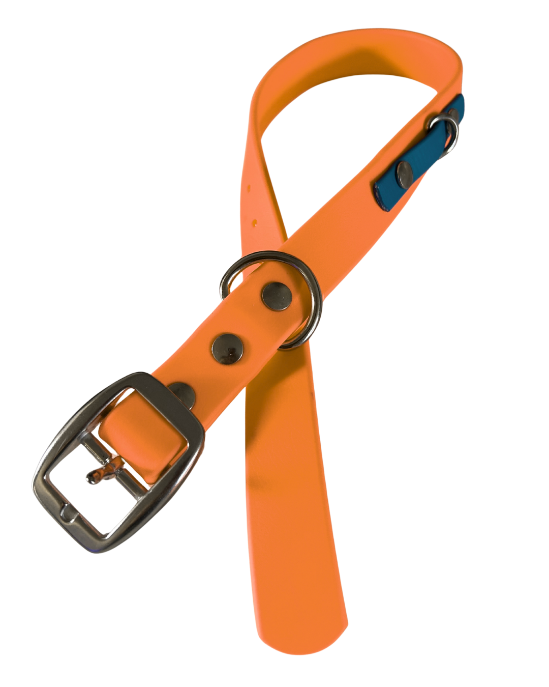 Biothane dog collar - Handmade in Quebec