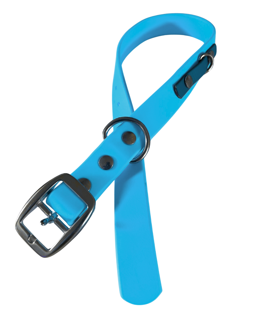 Biothane dog collar - Handmade in Quebec