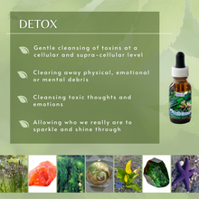 Detox | Combination Essence