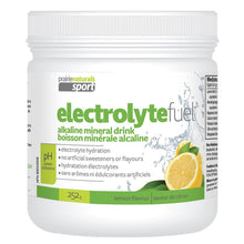 Prairie Naturals ÉLECTROLYTES EN POUDRE, 252 g
