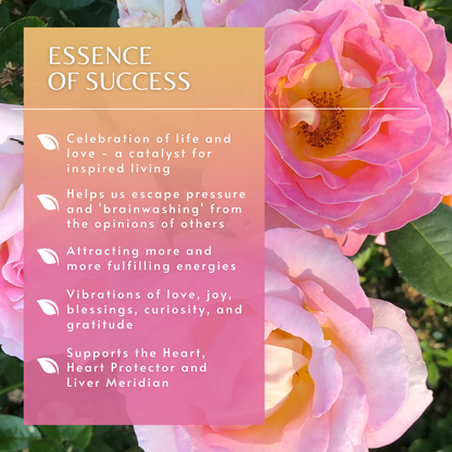 Essence of Success | Combination Essence