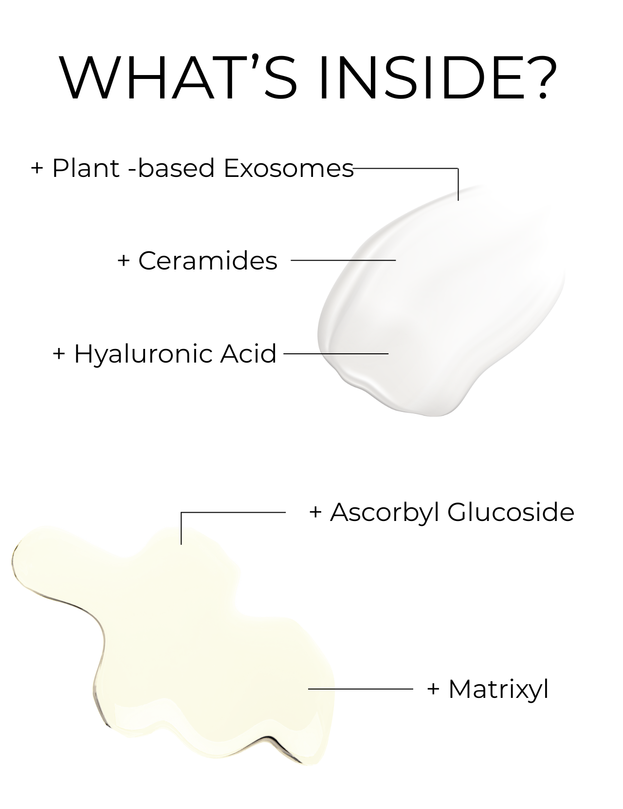 Vitamin C + Exosome Duo