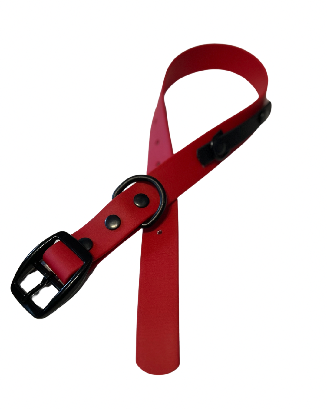 Biothane dog collar - Handmade in Quebec