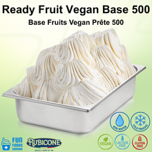 Ready Fruit 500 Végétal - Base de Gelato aux Fruits - Caisse de 4 sacs de 3 KG - Rubicone Canada - Livraison Gratuite au Canada pour les Commandes de Plus de 199 CAD