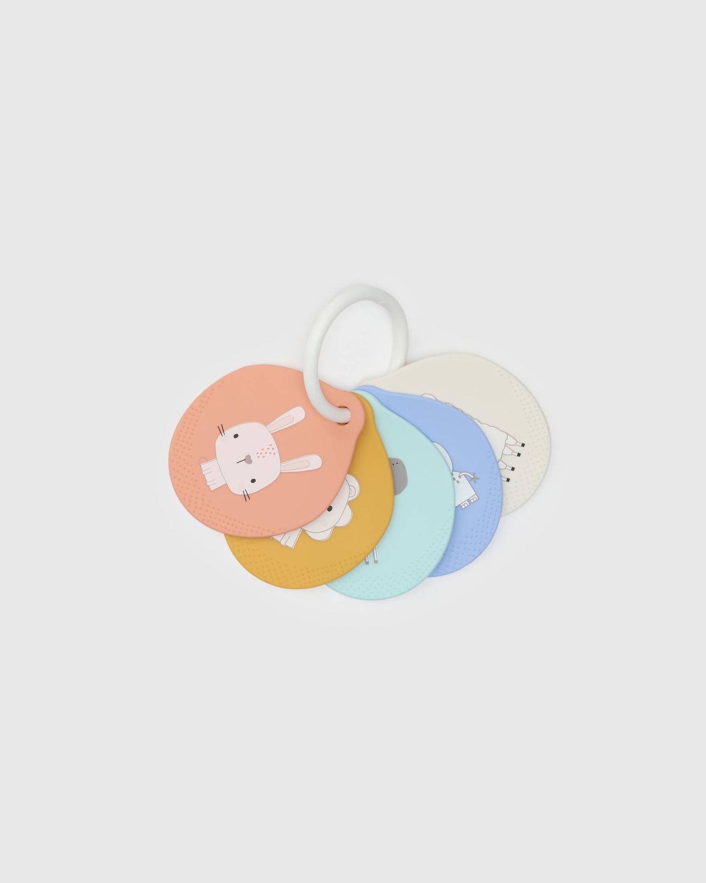 Flashcards - Nature