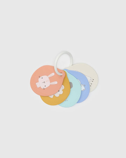 Flashcards - Nature