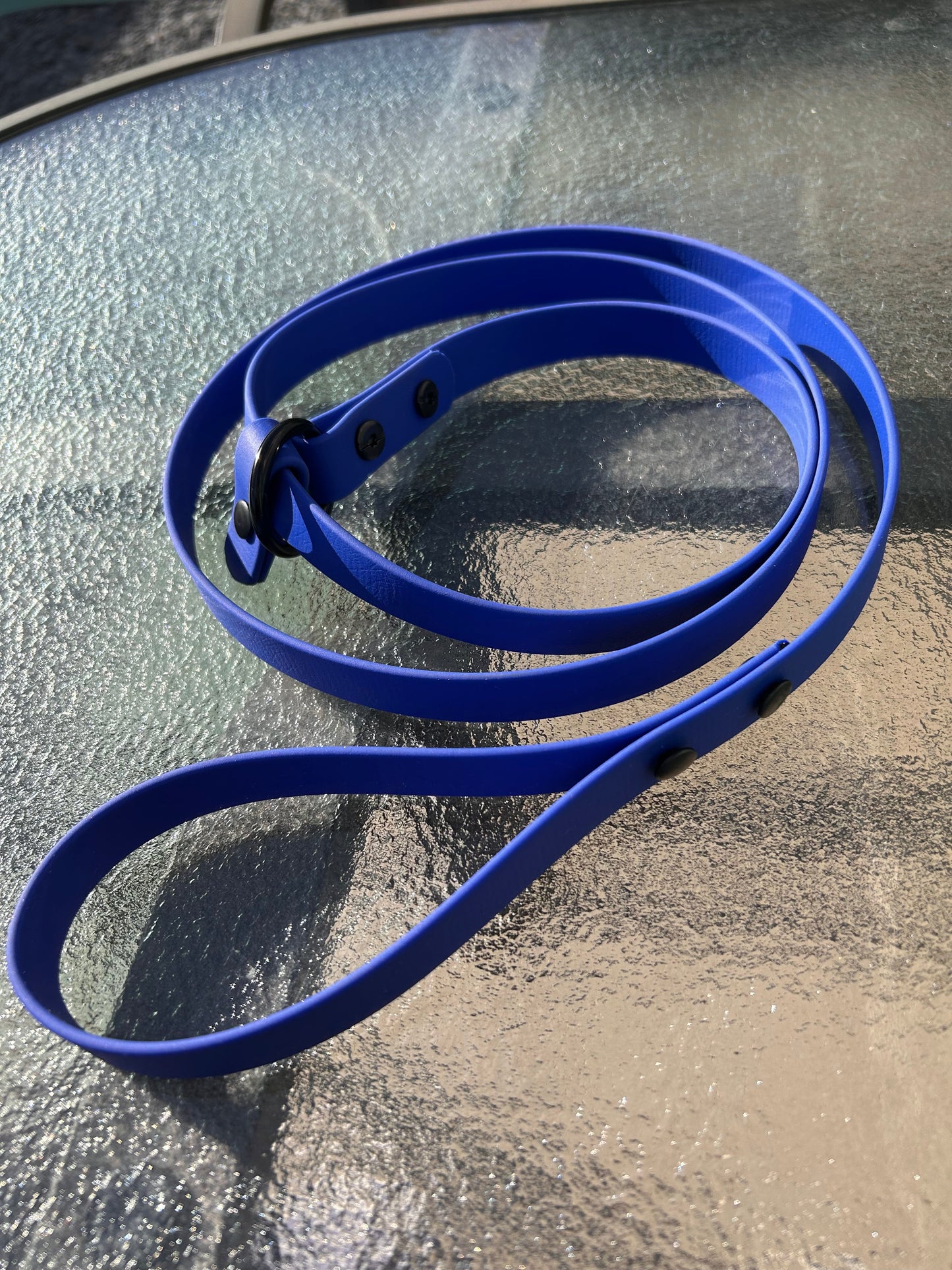 Laisse lasso en Biothane pour chien - Fabriquée à la main au Québec