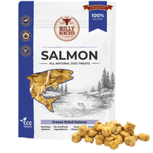 Saumon lyophilisé 100g / 3,5oz