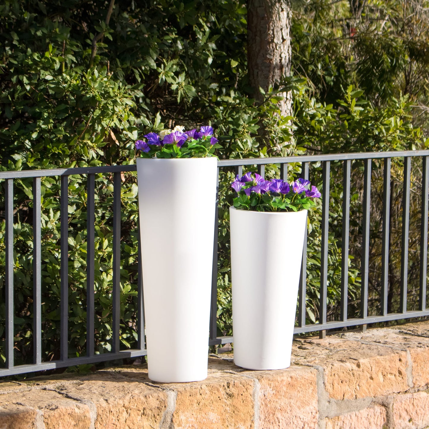 Ficus<br> Solaire et rechargeable