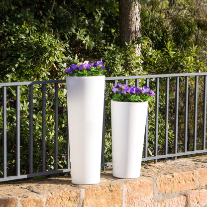 Ficus<br> Solaire et rechargeable
