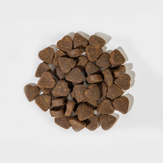 Fish & Blueberry - Biscuits - Dog Treats