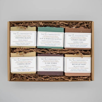 In The Temple | Amber, Resins & Patchouli Handmade Soap Bar