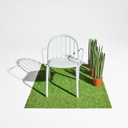 Le Fauteuil de Fred