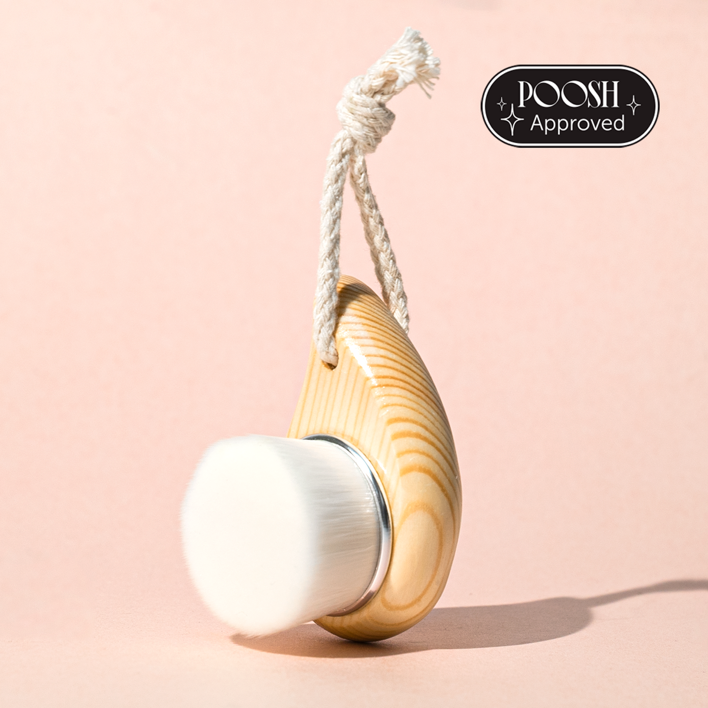 Brosse sèche pour le visage