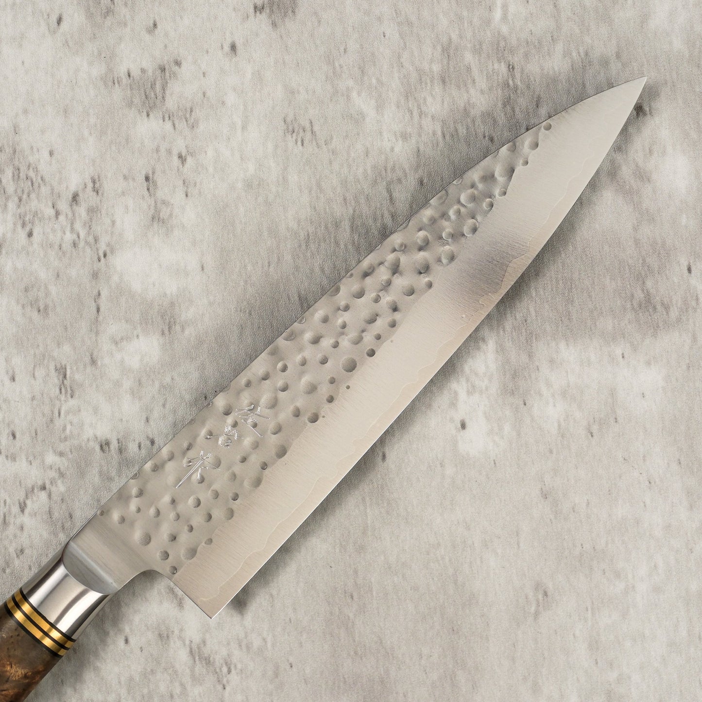 Takeshi Saji R2 Tsuchime Gyuto 210 mm