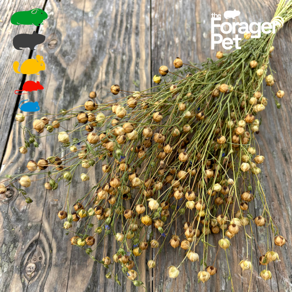 Flax Spray