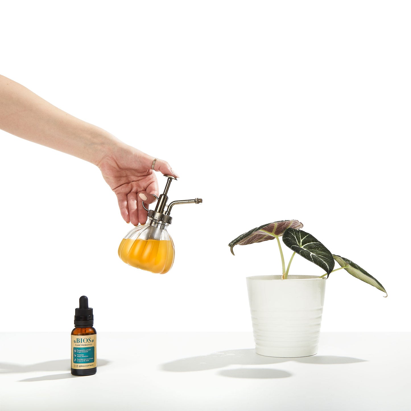 Bios Plantes Probiotiques – Tue les maladies et nourrit les plantes