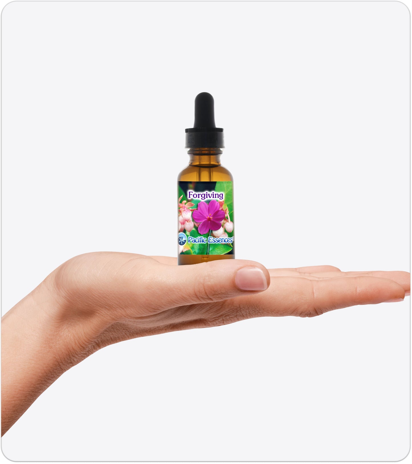 Forgiving | Combination Essence