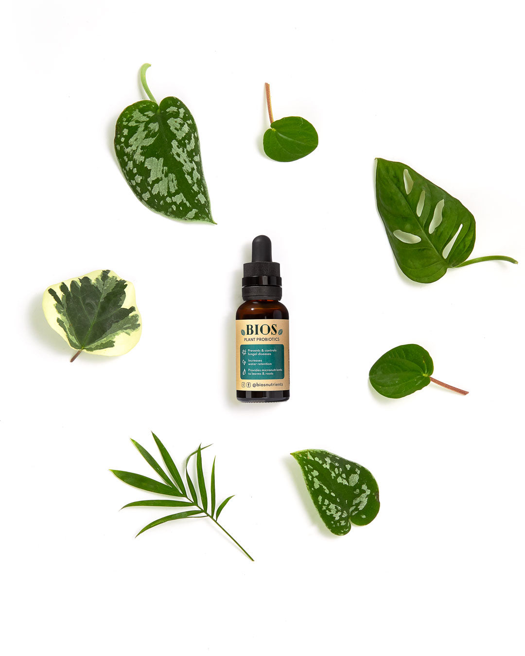 Bios Plantes Probiotiques – Tue les maladies et nourrit les plantes
