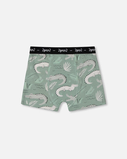 Boxer Coton Biologique Imprimé Sauge Clair et Crocodile Gris