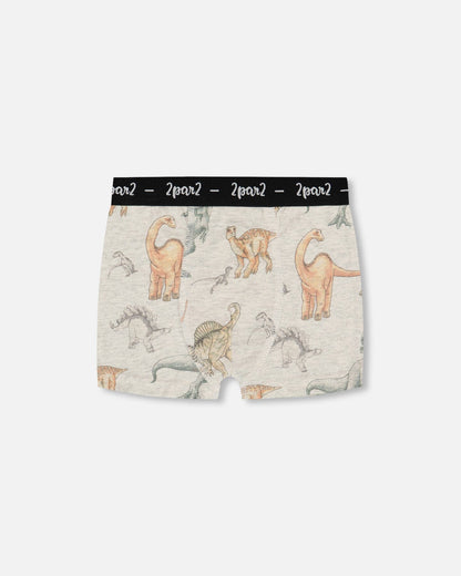 Printed Organic Cotton Boxer Shorts Dinosaur On Mottled And Tan Background