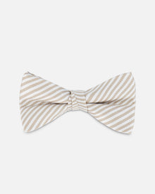 Nœud papillon taupe clair
