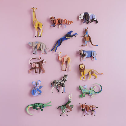 Animal sauvage - Gecko