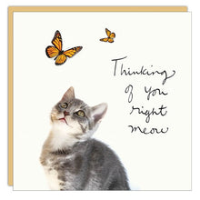 Gift Enclosure - Lost & Found - Thinking of You Right Meow