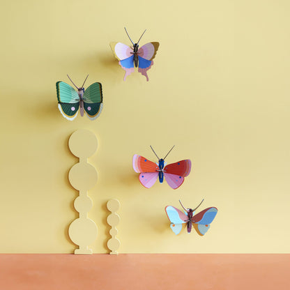 Papillon Bord Doré
