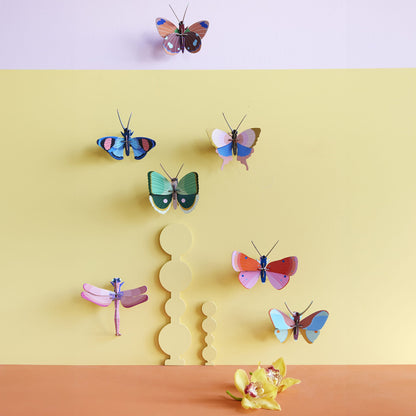 Papillon Bord Doré