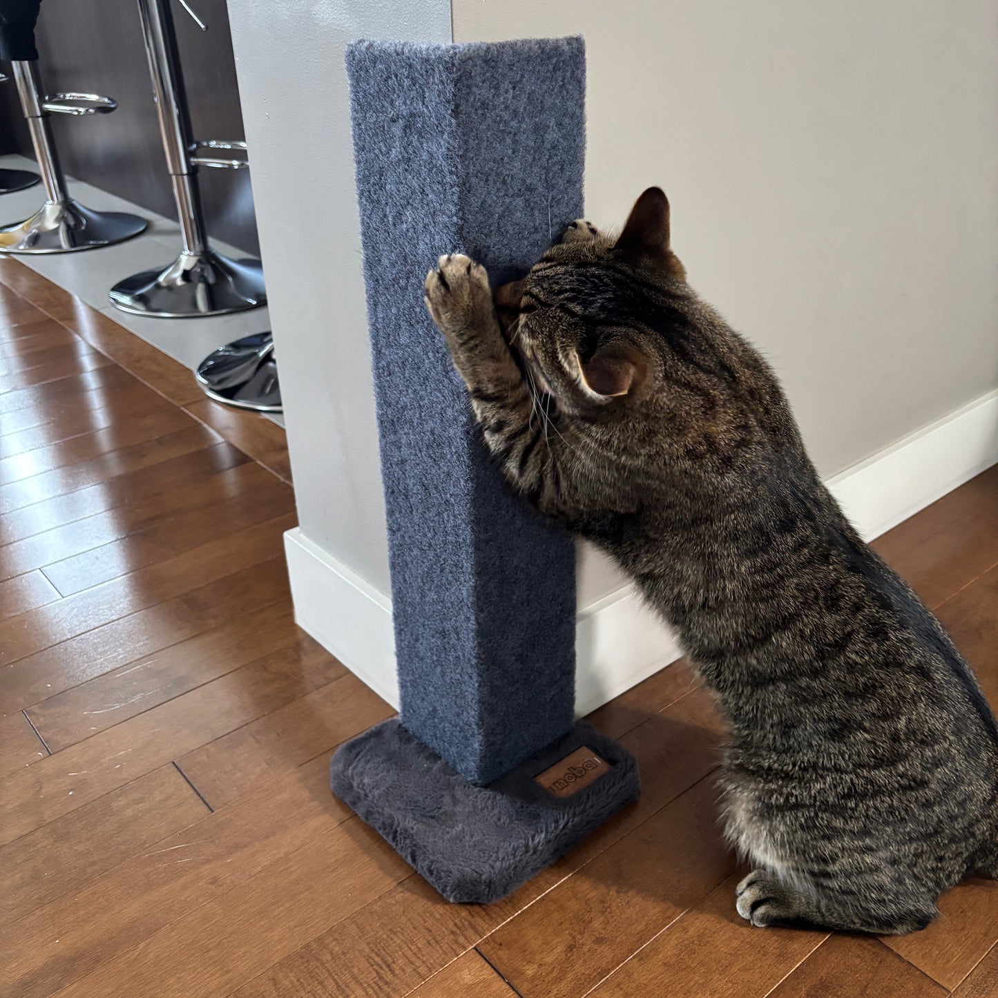 Noba Griffoir et Protecteur d'Angle pour Chat - 23 Pouces