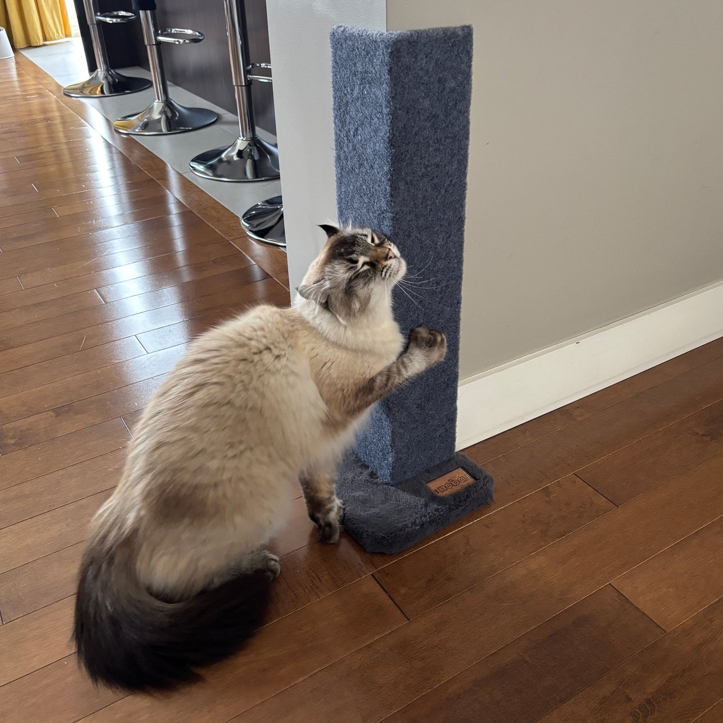 Noba Griffoir et Protecteur d'Angle pour Chat - 23 Pouces