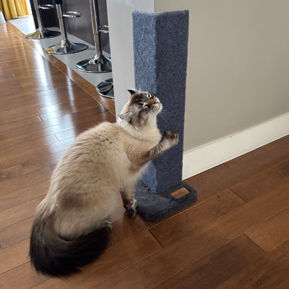 Noba Griffoir et Protecteur d'Angle pour Chat - 23 Pouces
