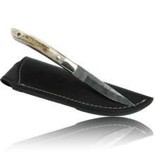 AKARI Skinner Knife 3.5 inch with Stag Horn Handle and Original Leather Sheath