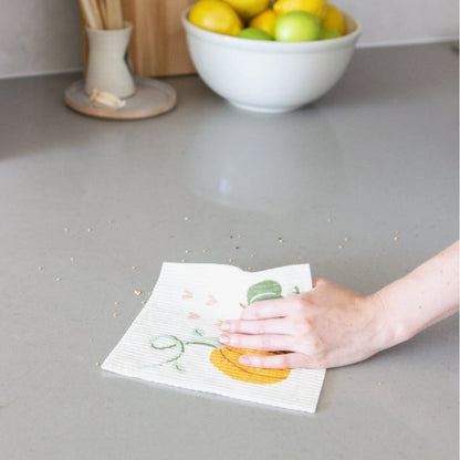 Pumpkin Patches Sponge Cloth