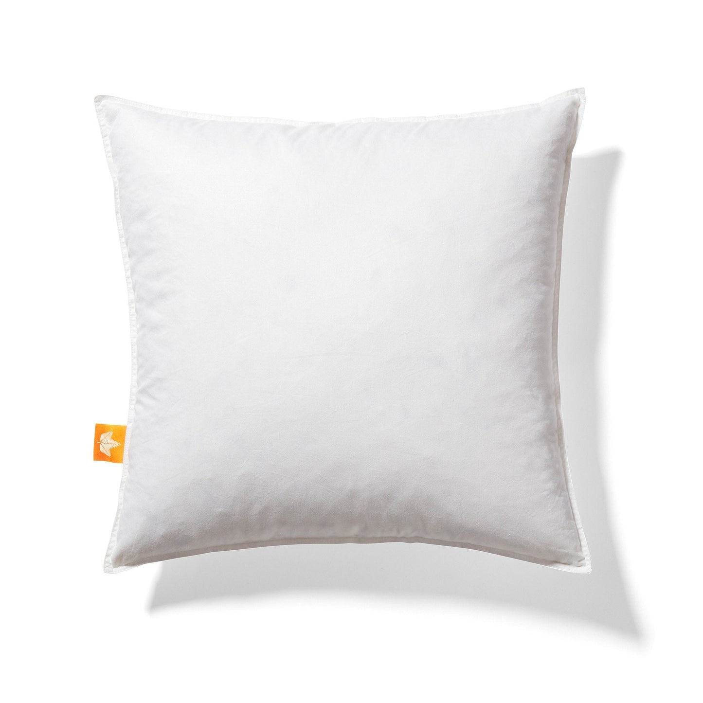 Coussins en plumes d'oie blanche