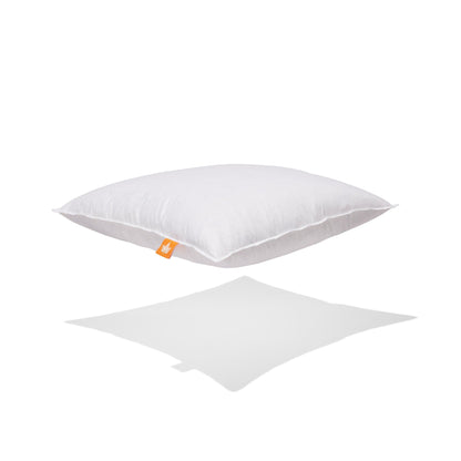 Coussins en plumes d'oie blanche