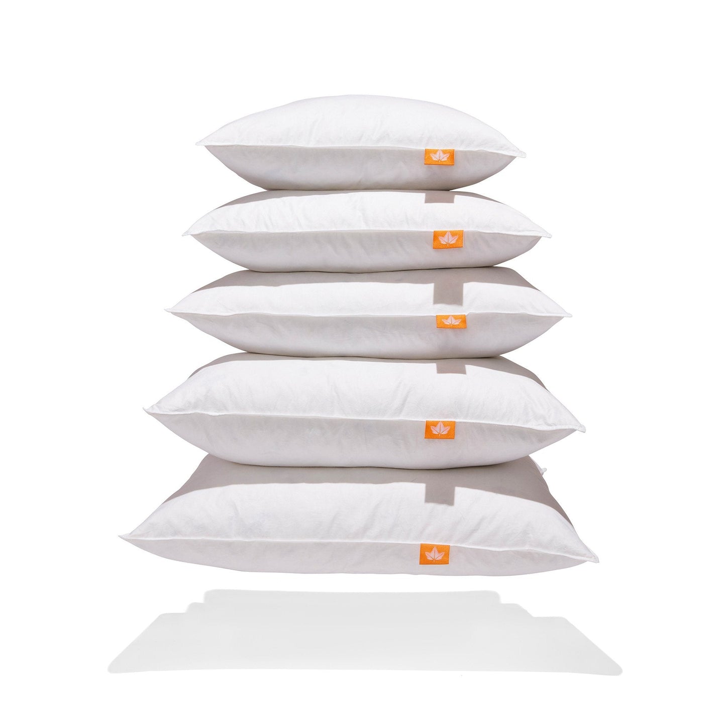 Coussins en plumes d'oie blanche