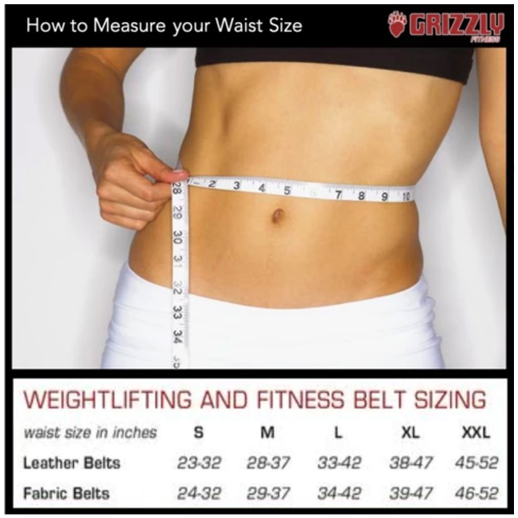 Grizzly 6" PADDED LEATHER PACESETTER WEIGHT LIFTING BELT 8446-04