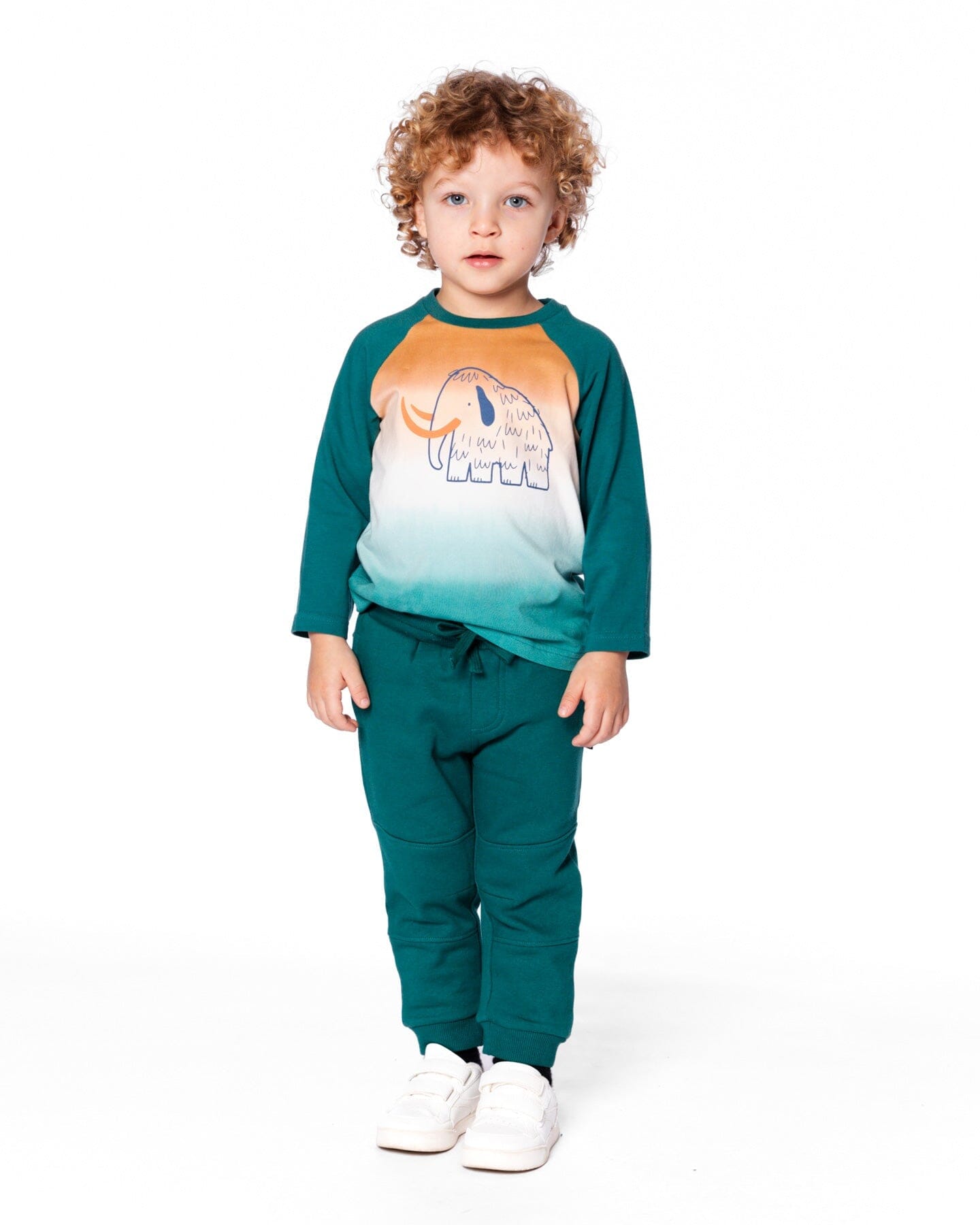 T-shirt en jersey de coton biologique à manches raglan vert forêt