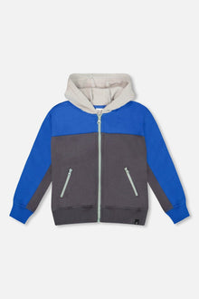 Sweat à Capuche Polaire Zippé à Blocs de Couleurs Gris Foncé
