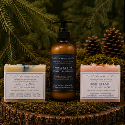 The Harmony & Light Discovery Bundle