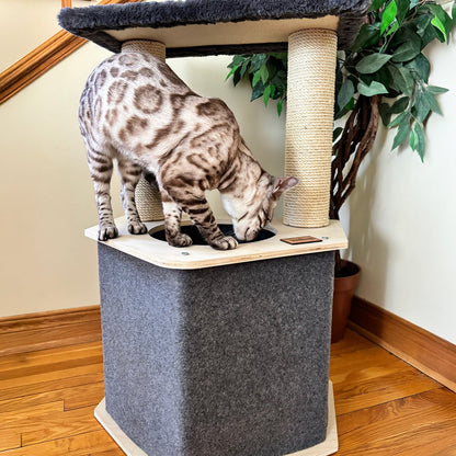 L'aire de jeu La Cabane - Arbre à chat à 2 niveaux