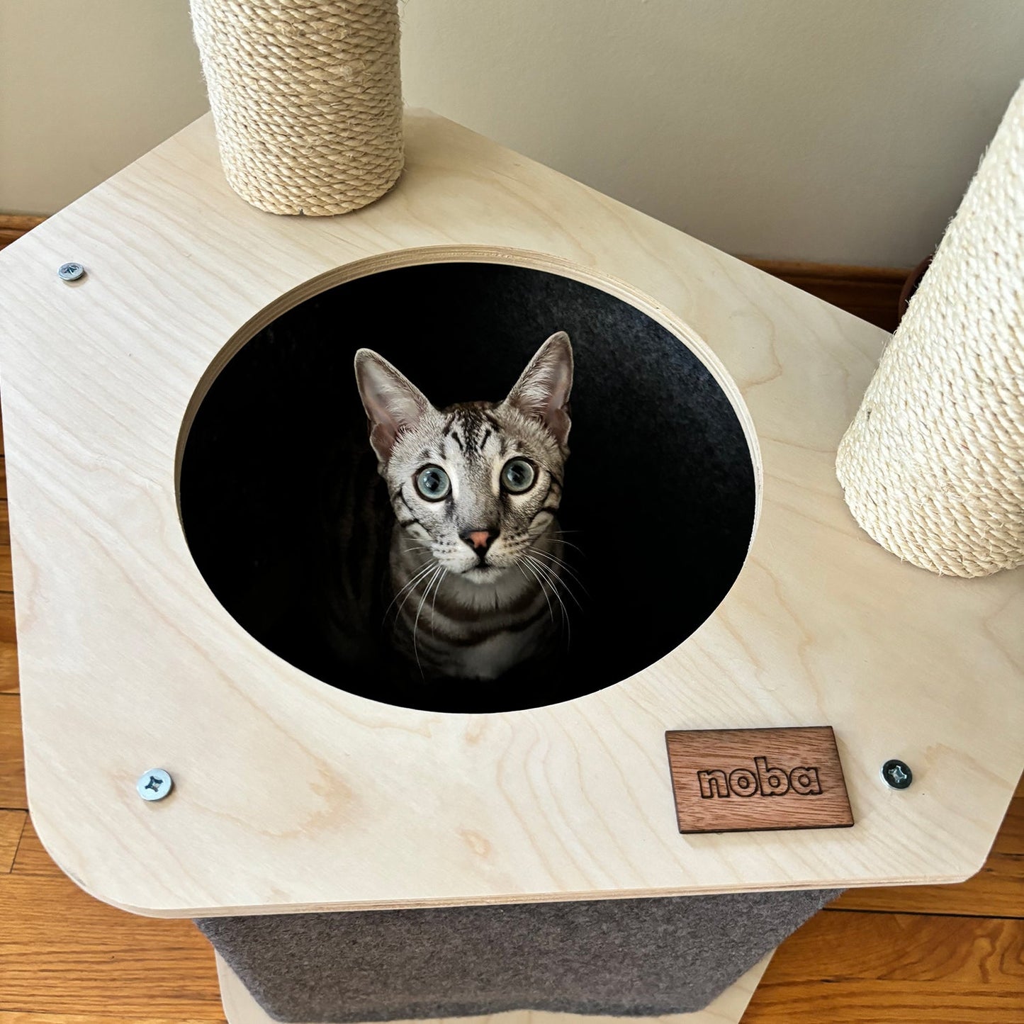 L'aire de jeu La Cabane - Arbre à chat à 2 niveaux