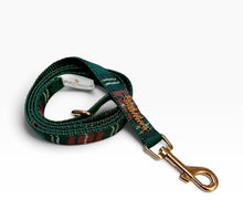 Highland leash with hands-free extension