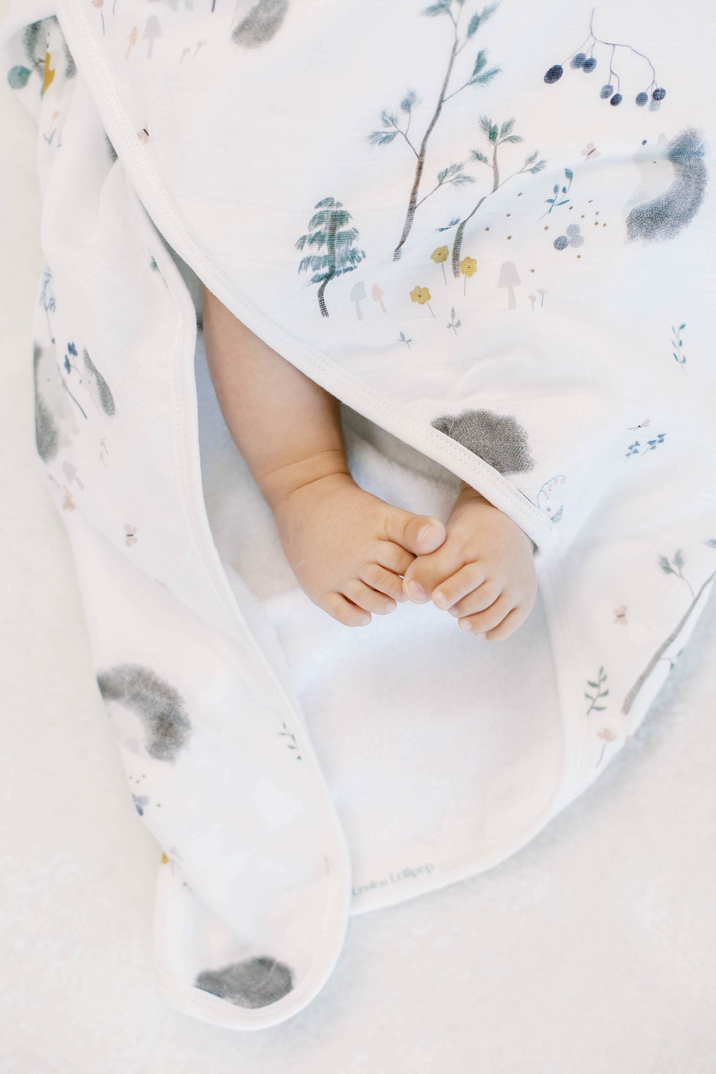 Hooded Towel Set - Hedgehogs