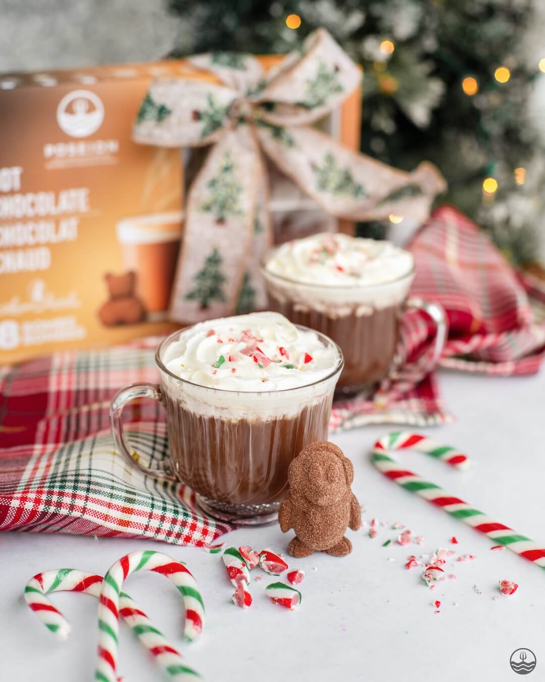 Hot Chocolate Variety Pack