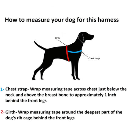 Harnais pour chien à enfiler motif tartan écossais